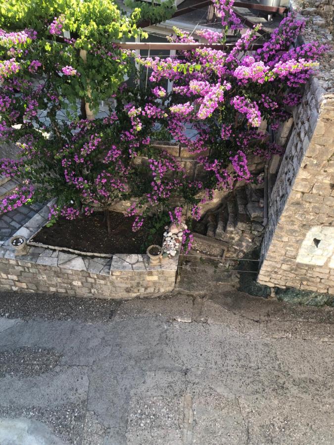 Apartments Rafailovic Ljubo 라파일로비치 외부 사진