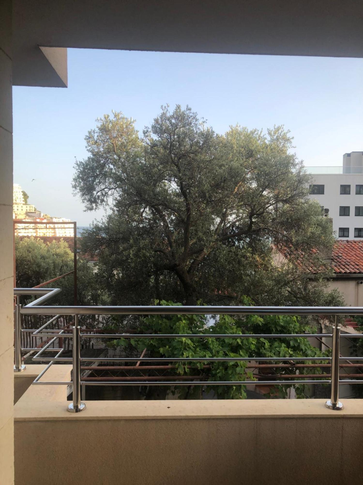 Apartments Rafailovic Ljubo 라파일로비치 외부 사진